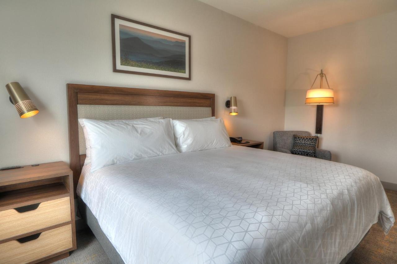 Holiday Inn & Suites Pigeon Forge Convention Center, An Ihg Hotel Ngoại thất bức ảnh