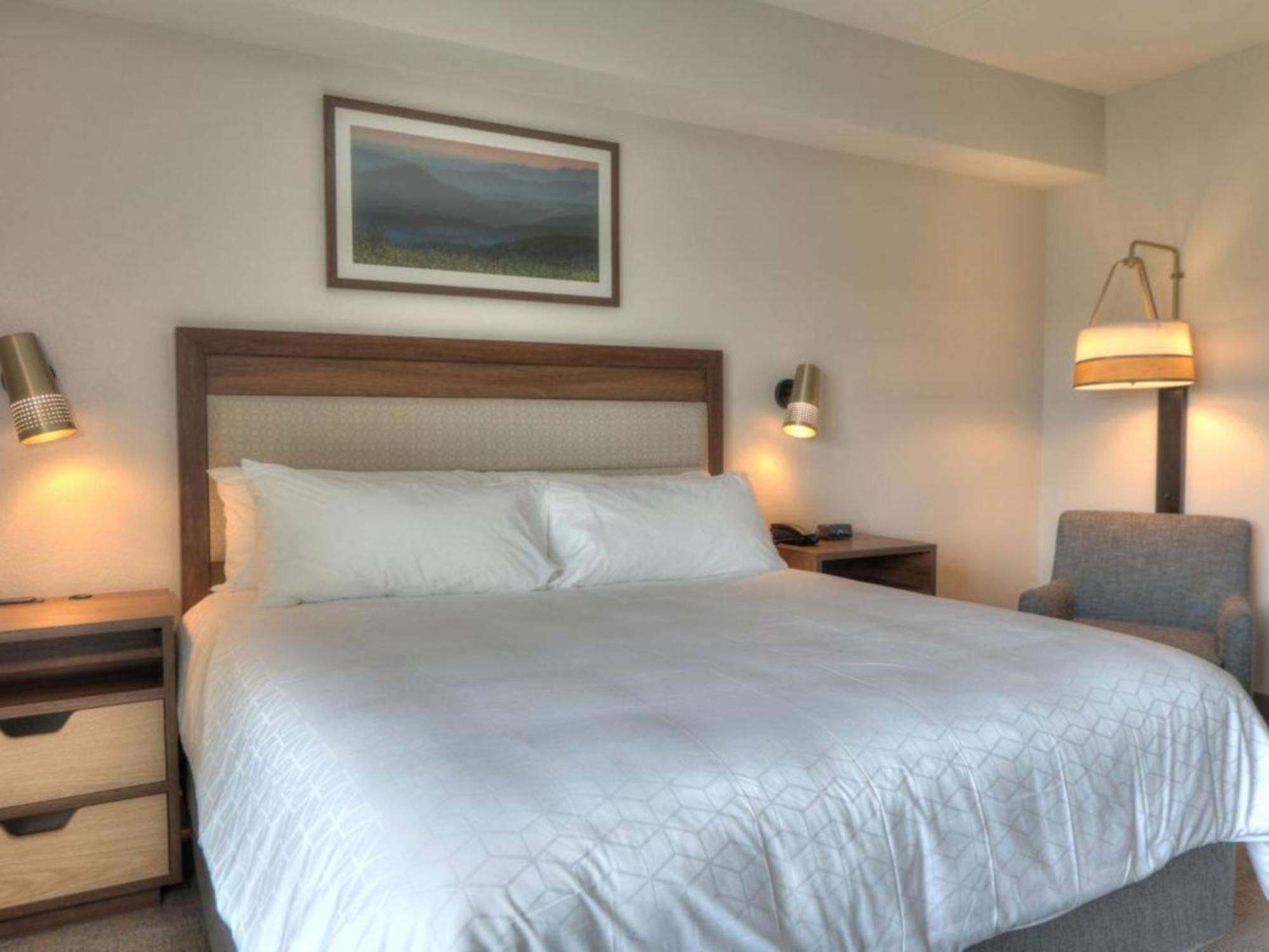 Holiday Inn & Suites Pigeon Forge Convention Center, An Ihg Hotel Ngoại thất bức ảnh